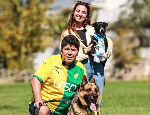 Dia Mundial do Animal no CD Mafra – SU 1.º Dezembro
